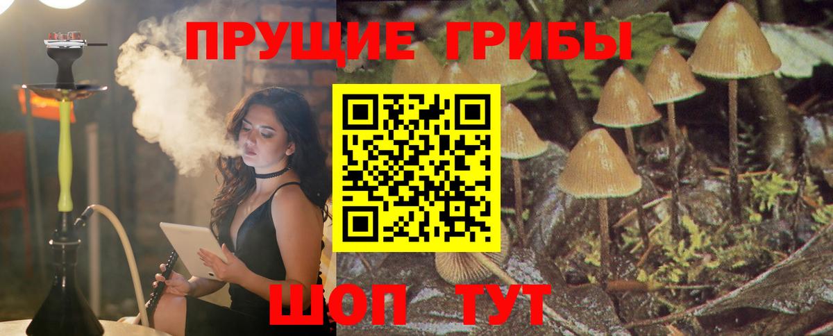 Вичуга  Псилоцибиновые грибы Psilocybe  Псилоцибиновые грибы Cubensis  Вход с VPN 
