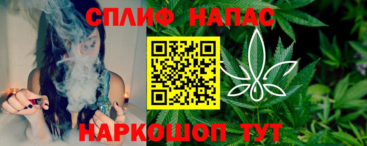 Конопля индика Вичуга